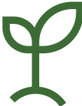 green leaf